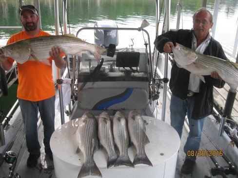 Nice Striped Bass